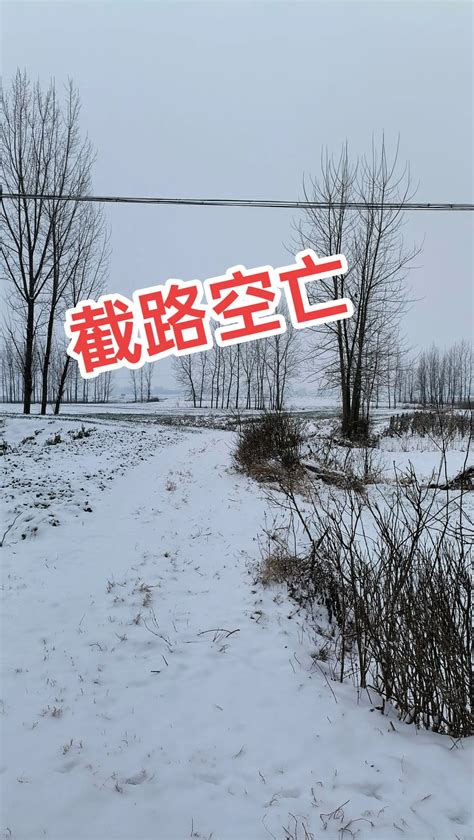 截路空亡